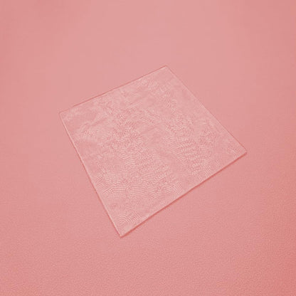 Scarxgen Silicone Gel Sheet 10CmX10Cm